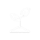 Разнообразие занятий